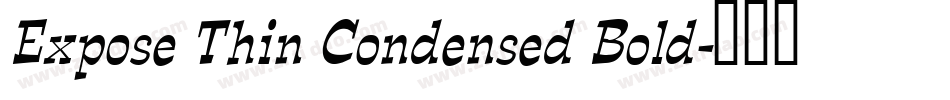 Expose Thin Condensed Bold字体转换